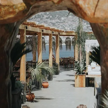 Barracuda Hotel